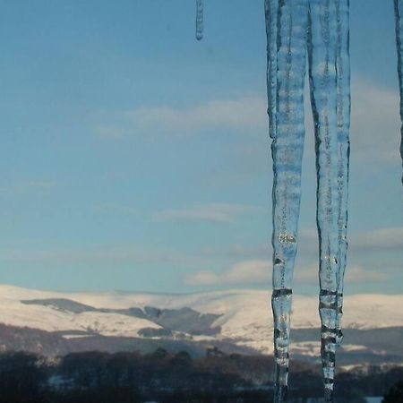 Stunning Views Of Ynyshir & Southern Snowdonia Махінллет Екстер'єр фото