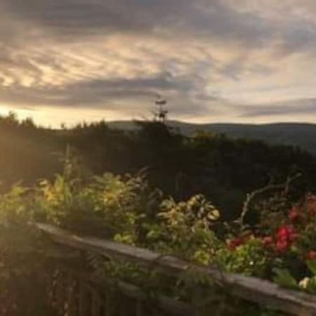 Stunning Views Of Ynyshir & Southern Snowdonia Махінллет Екстер'єр фото