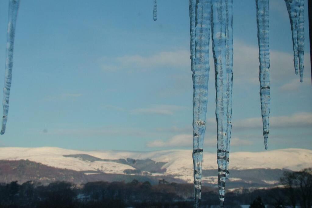 Stunning Views Of Ynyshir & Southern Snowdonia Махінллет Екстер'єр фото