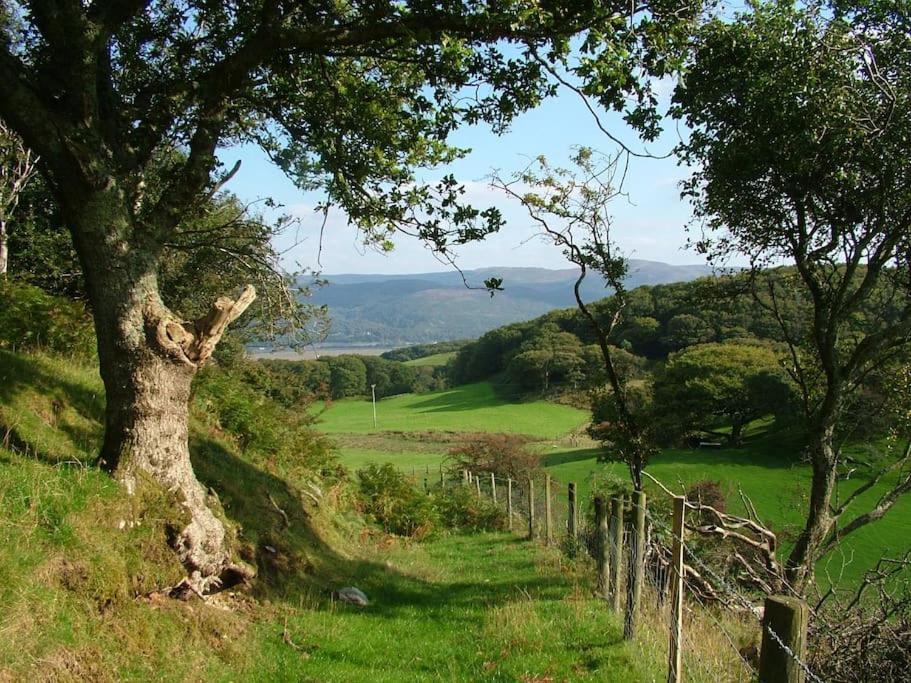 Stunning Views Of Ynyshir & Southern Snowdonia Махінллет Екстер'єр фото