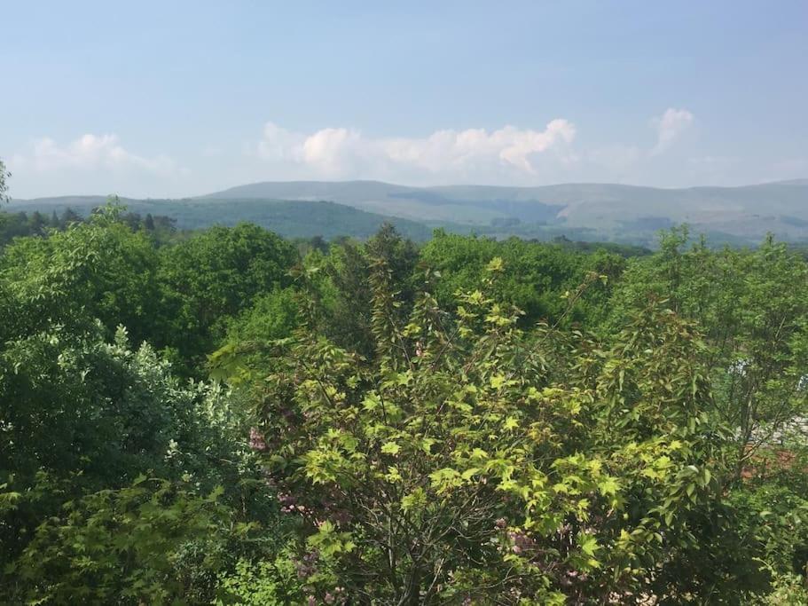 Stunning Views Of Ynyshir & Southern Snowdonia Махінллет Екстер'єр фото