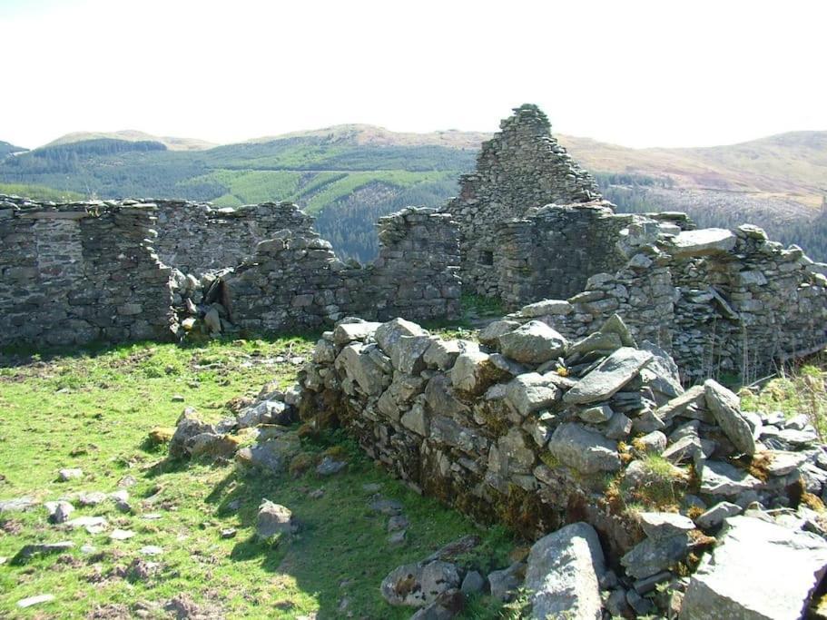 Stunning Views Of Ynyshir & Southern Snowdonia Махінллет Екстер'єр фото
