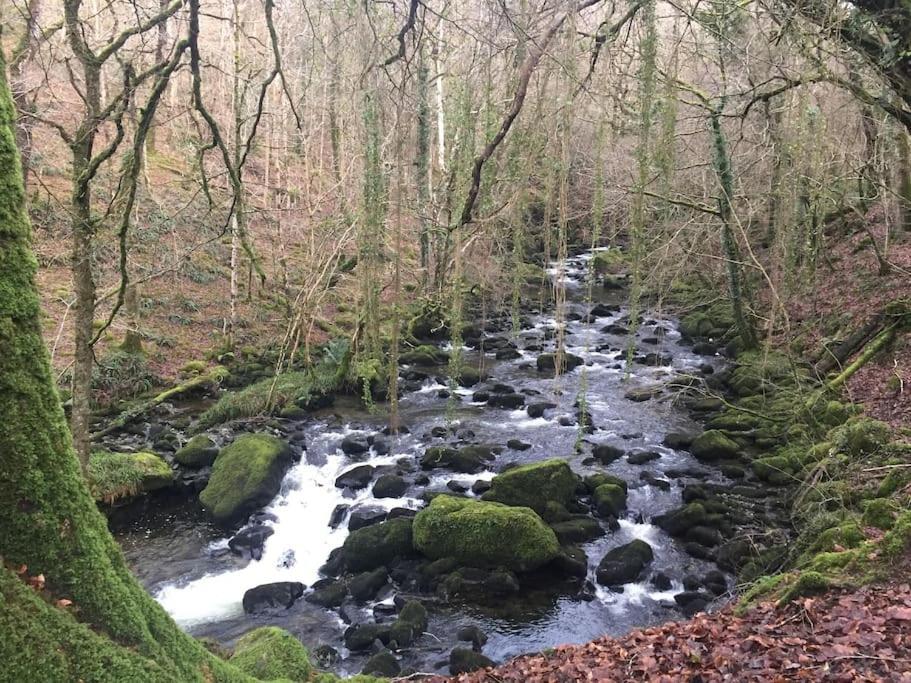 Stunning Views Of Ynyshir & Southern Snowdonia Махінллет Екстер'єр фото